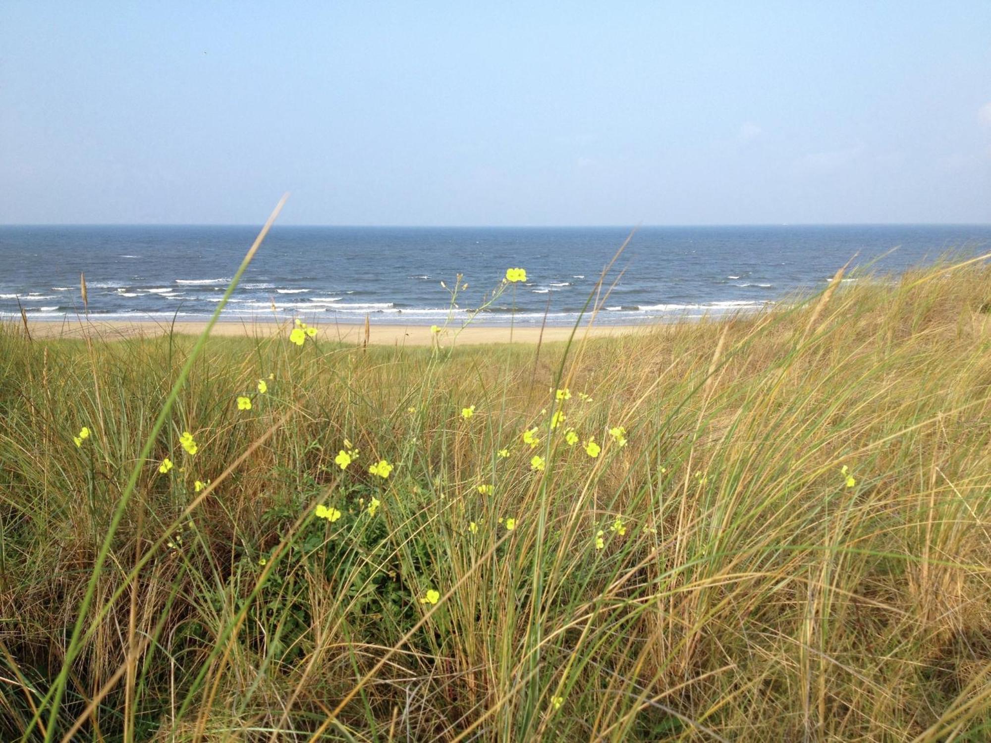 Stunning Apartment In Schoorl North Holland You Can Bike To The Beach エクステリア 写真
